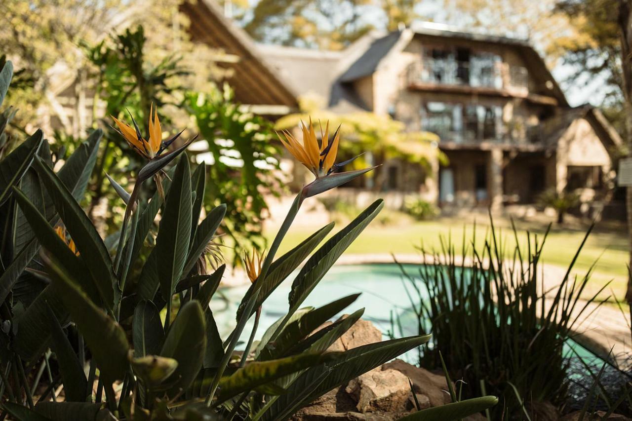 50 On Shepherd Boutique Guest House Sandton Exterior foto